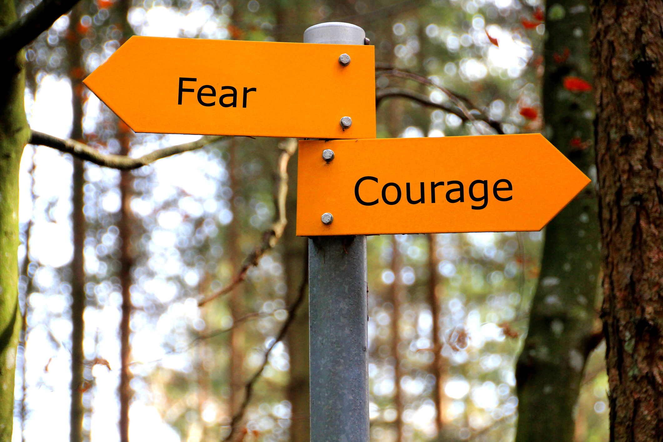 5 Ways Business Owners Can Overcome Their Fears