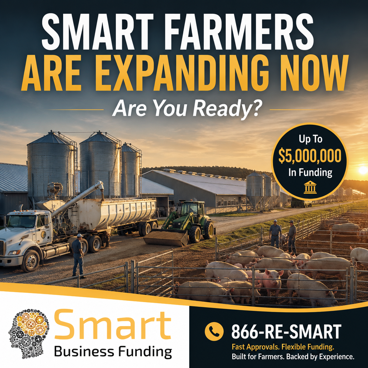 Hog and Swine farm Business Funding