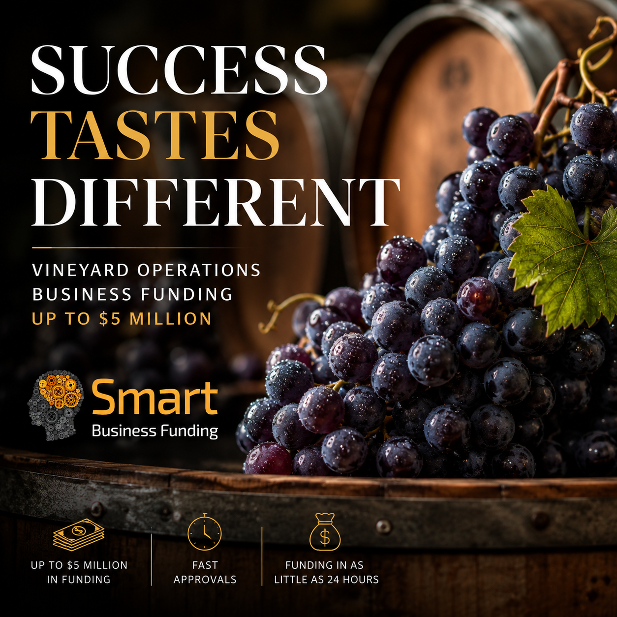 Vineyard business funding